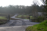 Driveway Creation